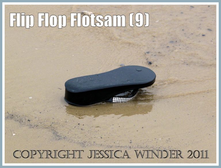 Flip flop flotsam floating ashore at Weymouth, Dorset, U.K. (9)