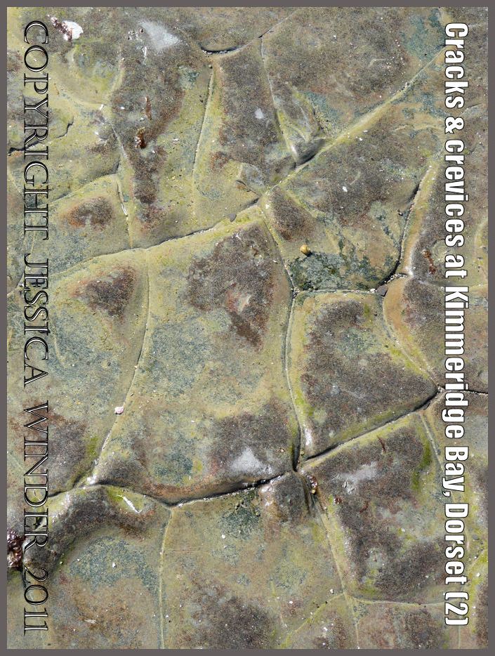 P1050933Blog Pattern of cracks and crevices (2) in the rock pavement on the seashore at Kimmeridge Bay, Dorset, U.K. on the Jurassic Coast World Heritage Site