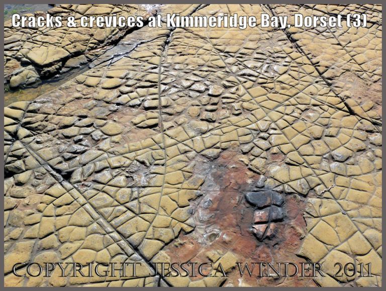P1050990Blog Pattern of cracks and crevices (3) in the rock pavement on the seashore at Kimmeridge Bay, Dorset, U.K. on the Jurassic Coast World Heritage Site
