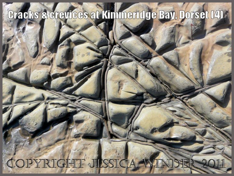 P1050996Blog Pattern of cracks and crevices (4) in the rock pavement on the seashore at Kimmeridge Bay, Dorset, U.K. on the Jurassic Coast World Heritage Site
