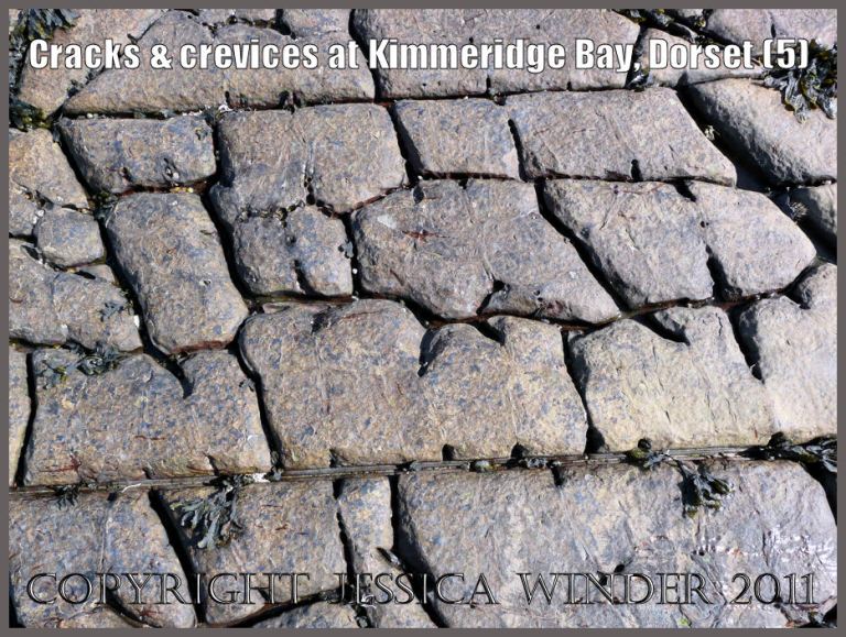 P1060005Blog Pattern of cracks and crevices (5) in the rock pavement on the seashore at Kimmeridge Bay, Dorset, U.K. on the Jurassic Coast World Heritage Site