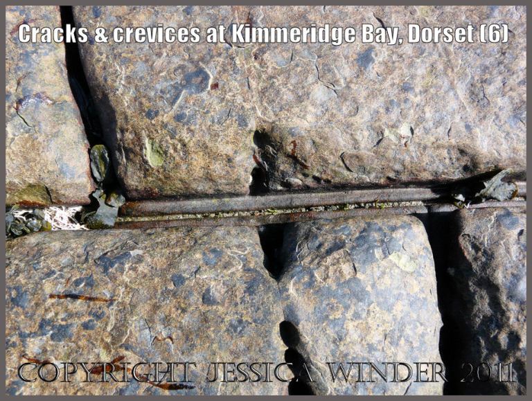P1060006Blog Pattern of cracks and crevices (6) in the rock pavement on the seashore at Kimmeridge Bay, Dorset, U.K. on the Jurassic Coast World Heritage Site