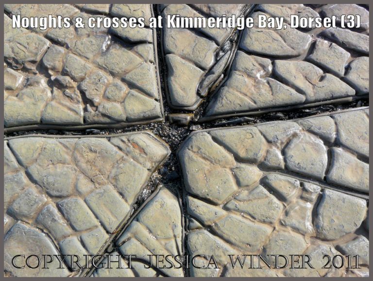 Cross or star-shaped crack (3) in the dolomite rock pavement or platform at Kimmeridge Bay, Dorset, UK on the Jurassic Coast World Heritage Site.