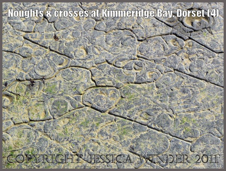 Circular fracture patterns (4) on the surface of dolomite rock at Kimmeridge Bay, Dorset, UK on the Jurassic Coast World Heritage Site