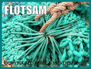 FLOTSAM like these old fishing nets - a subject category for seashore photography and "Jessica's Nature Blog"