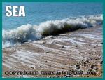 SEA: waves, surf, and sea-foam - a subject category for seashore photography and Jessica's Nature Blog".