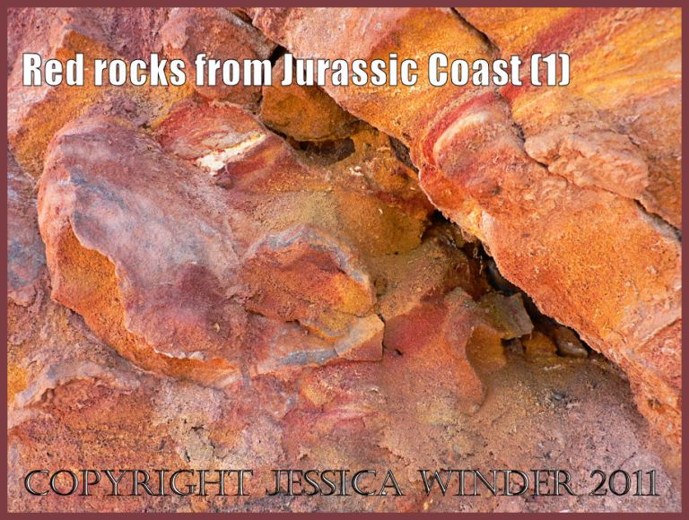 Red rocks from Worbarrow Bay cliffs on the Jurassic Coast World Heritage Site in Dorset, UK (P1010296Blog1)