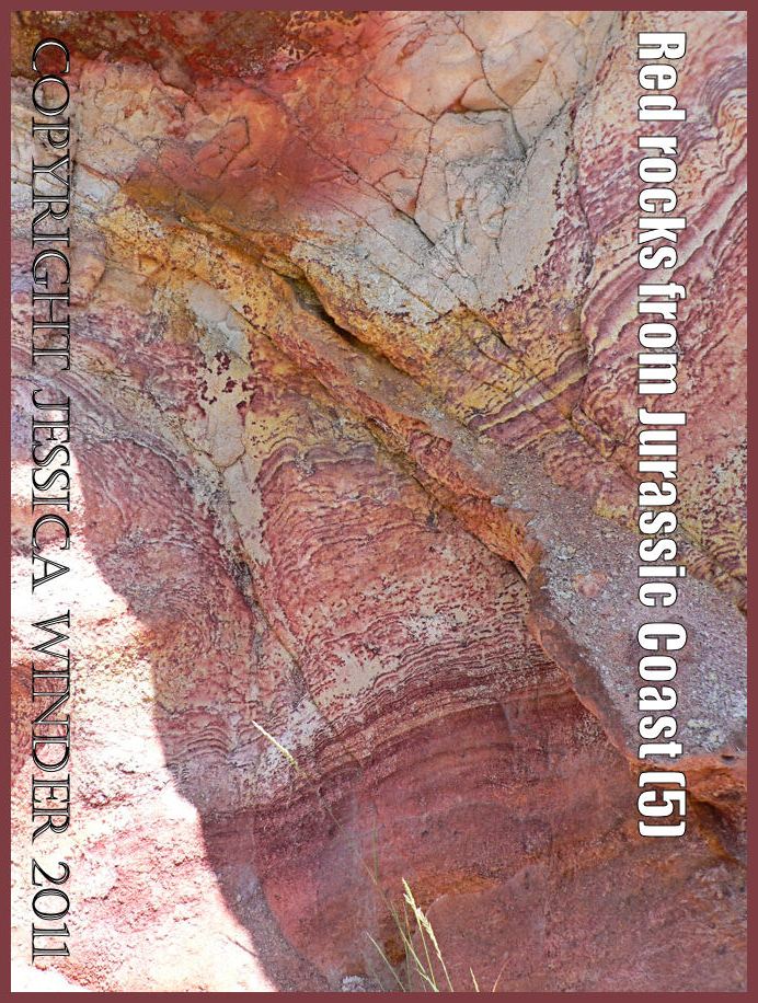 Orange and red iron-stained rock strata in cliffs at Worbarrow Bay, Dorset, UK, on the Jurassic Coast World Heritage Site (P1010317Blog5)