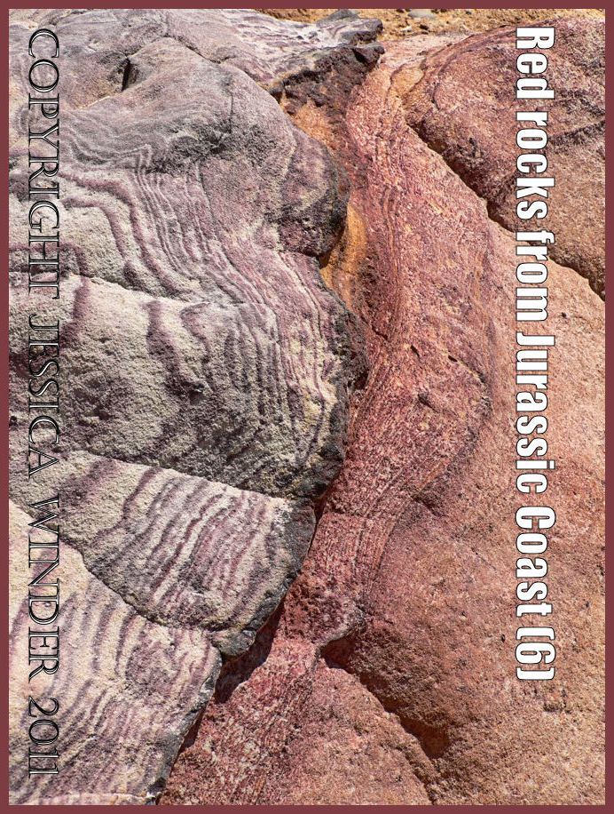 Pink striped rock in cliffs at Worbarrow Bay, Dorset, UK, on the Jurassic Coast World Heritage Site (P1010338Blog6)