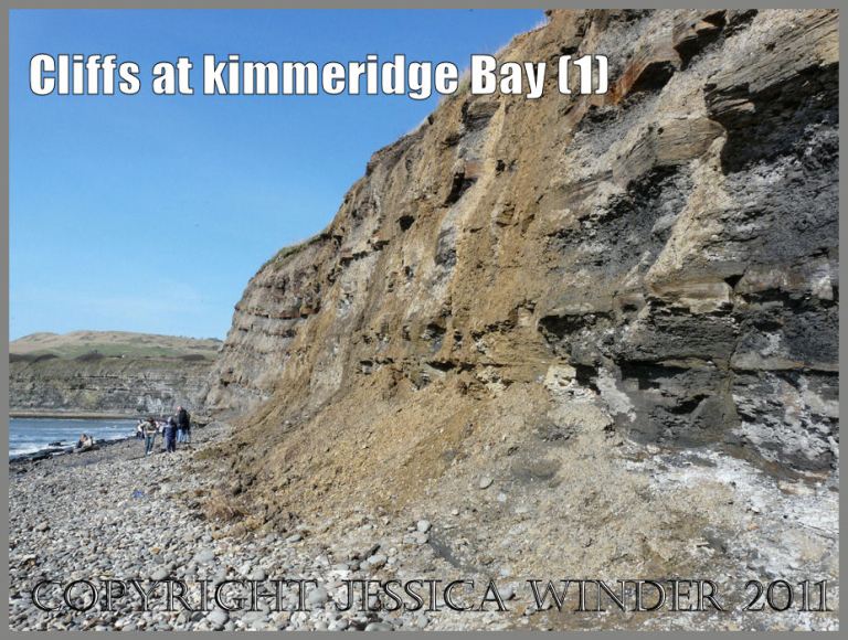 P1050857aBlog1 The cliffs at Kimmeridge Bay, Dorset, UK on the Jurassic Coast World Heritage Site - showing inclined strata and recent rock fall (1).