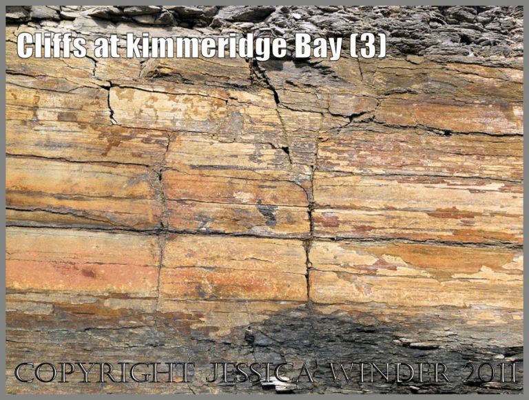 P1060212aBlog3 Detail of a yellow stone layer in the cliff at Kimmeridge Bay, Dorset, UK on the Jurassic Coast World Heritage Site (3)