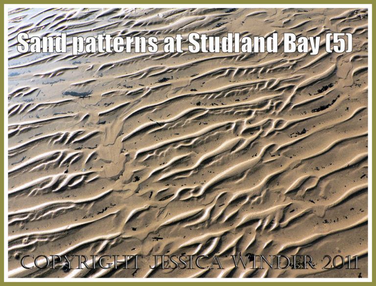 Sand ripple picture: Intertidal sand patterns on the National Trust owned beach at Studland Bay, Dorset, UK on the Jurassic Coast (P1110406aBlog5) 