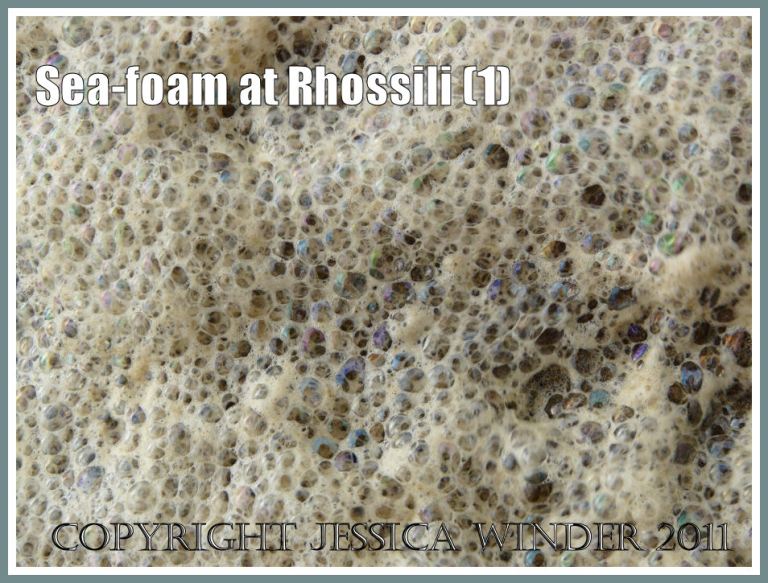 Sea-foam picture close-up: Iridescent bubbles of sea-foam at Rhossili Bay, Gower, South Wales, UK (P1440223aBlog1)
