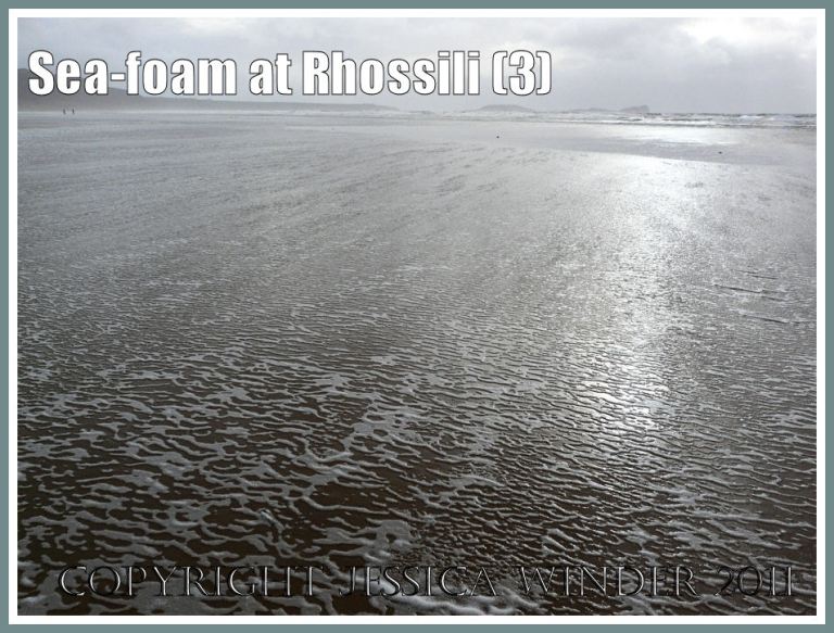Seashore seafoam picture: The vast reflecting expanse of low-tide seashore, with a thin film of surface water and seafoam pattern, at Rhossili Bay, Gower, South Wales, UK (P1440234aBlog3 )