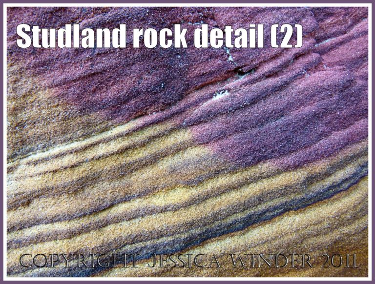 Rock strata from the Jurassic Coast: Purple rock strata in sandstone on the National Trust owned beach at Studland Bay, Dorset, UK, on the Jurassic Coast World Heritage Site (2)