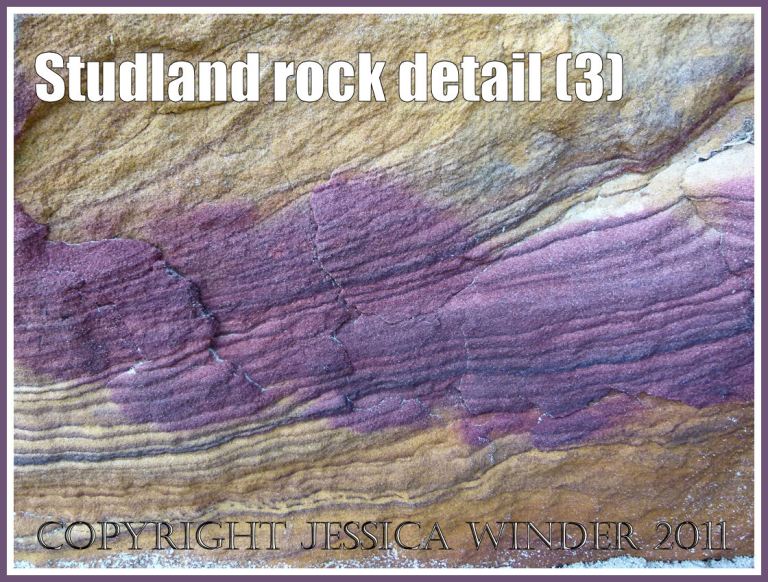 Studland rocks: Purple rock strata in sandstone on the National Trust owned beach at Studland Bay, Dorset, UK, on the Jurassic Coast World Heritage Site (3)