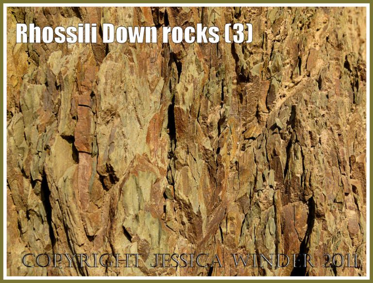 Gower rocks: Narrow vertical strata of shale-like rock on the lower west face of Rhossili Down, Gower, South Wales, UK (3)