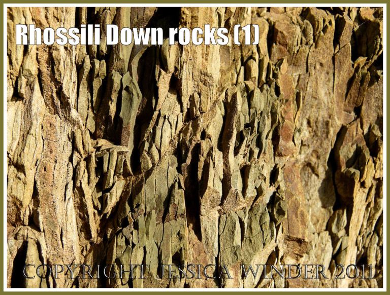 Rhossili Down rocks: Narrow bands of shale-like rock on the lower west face of Rhossili Down, Gower, South Wales, UK (1)