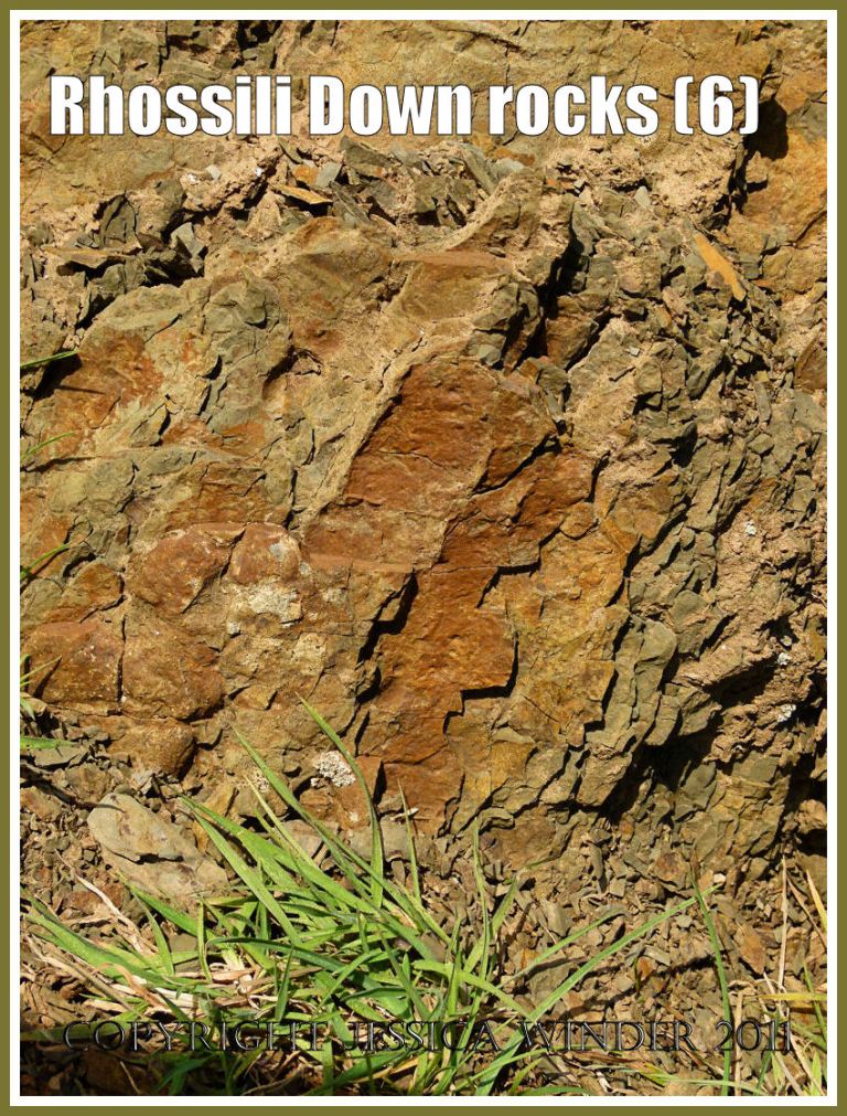 Rhossili rocks: The rusty bedding surface of the shale-like rock exposed on the lower west face of Rhossili Down, Gower, South Wales, UK (6)