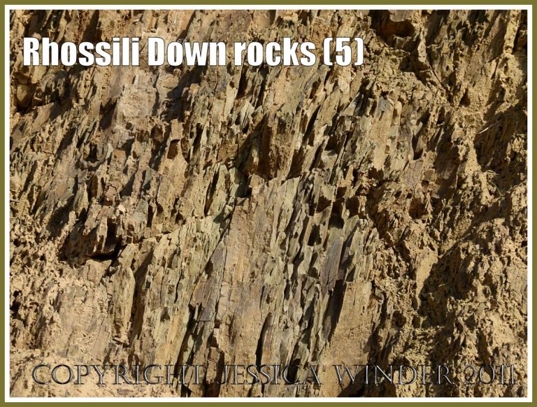 Rhossili rock texture: Jagged broken surface on narrow strata of fine-grained shale-like rock on the lower west face of Rhossili Down, Gower, South Wales, UK (5)
