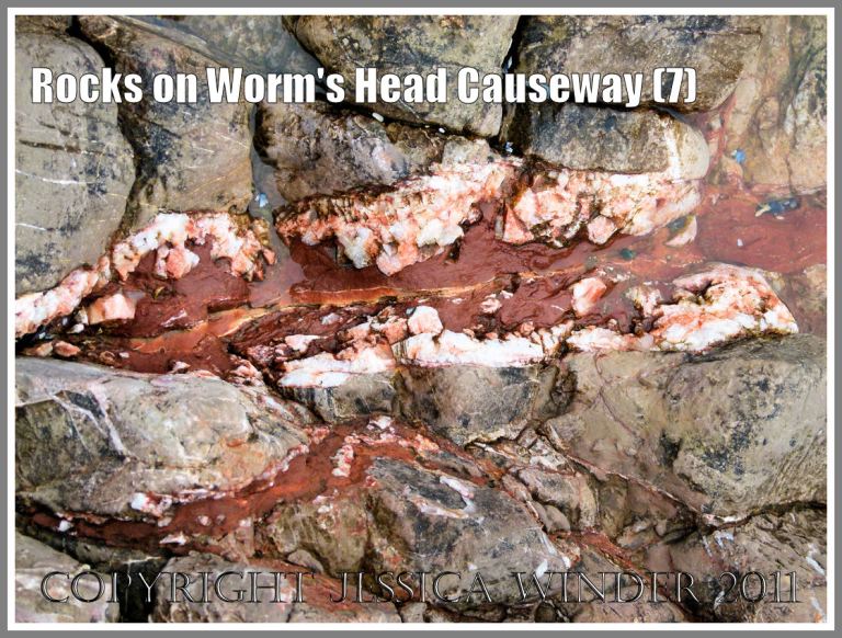Red rock on Worm's Head Causeway: Red haematite and white calcite crystals in a Carboniferous limestone fissure exposed on Worm's Head Causeway, Gower, South Wales, UK (7)