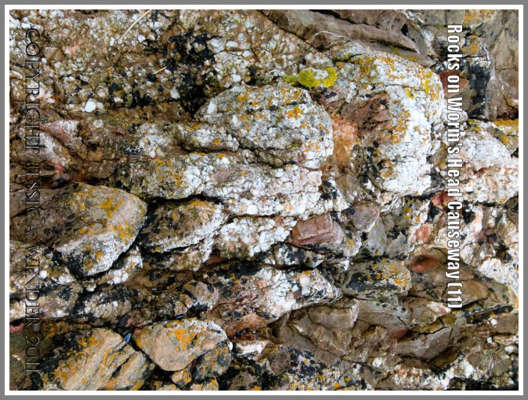 Rocks on Worm's Head Causeway: Seam of iron-stained calcite crystal in Carboniferous limestone at Worm's Head causeway, Gower, South Wales, UK (11)