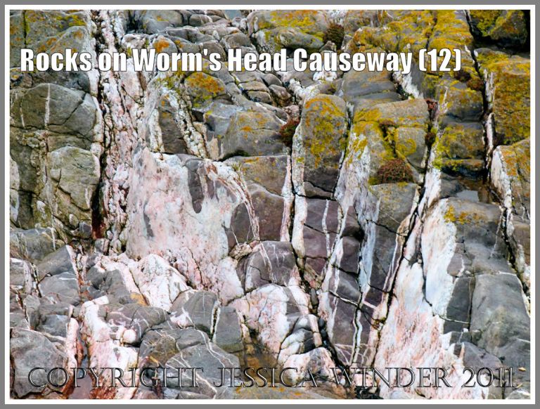 Worm's Head Causeway rocks: Streaks of pink and white calcite in Carboniferous limestone rocks topped with patches of yellow lichen, on Worm's Head Causeway, Gower, South Wales, UK (12)