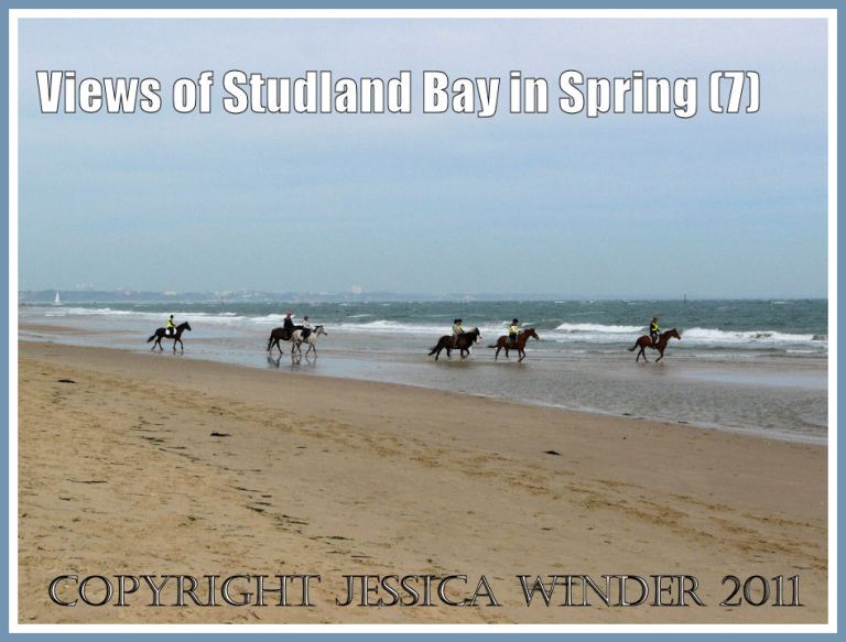 P1080866aBlog7 A group of equestrians from the local riding school and stables riding towards the surf on Studland Beach, Dorset, UK, March 2009 - part of the Jurassic Coast (7) Studland Beach view: A group of equestrians from the local riding school and stables riding towards the surf on Studland Beach, Dorset, UK, March 2009 - part of the Jurassic Coast (P1080866aBlog7)