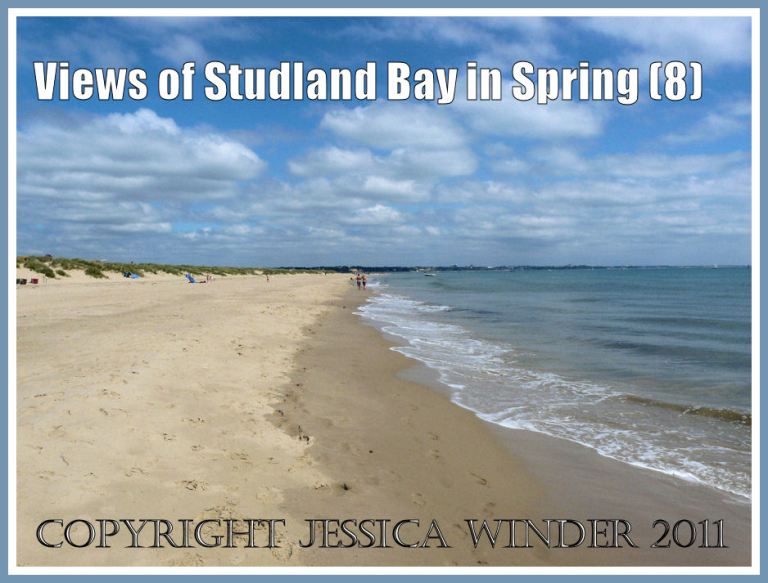 P1090481aBlog8 View of Studland Beach, Dorset (part of the Jurassic Coast) on a hot sunny day in May 2009 looking towards Poole (8) Studland Beach picture: View of Studland Beach, Dorset (part of the Jurassic Coast) on a hot sunny day in May 2009 looking towards Poole (P1090481aBlog8)