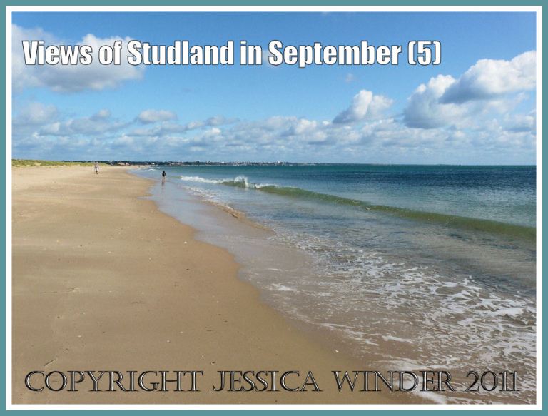 Pristine sandy seashore image: View looking east on Studland Beach, Dorset, UK, 4 September 2009, showing completely seaweed-free shore (P1150469aBlog5)