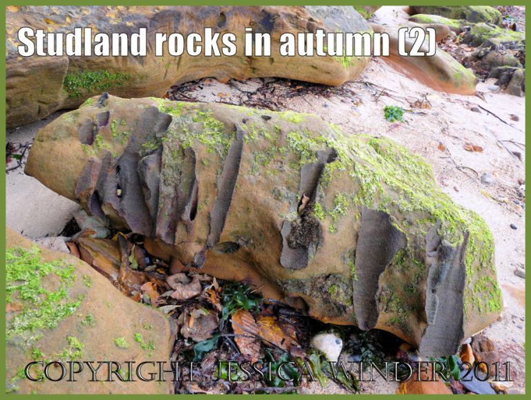 Rocks photograph: Rocks at Studland Bay, Dorset, UK - part of the Jurassic Coast. Cross-section of boulder on the shore showing vertical, iron-lined 'pipes' in the rock (P1170320aBlog2)