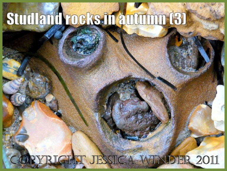 Jurassic Coast rocks image: Rocks at Studland Bay, Dorset, UK - part of the Jurassic Coast. Looking down, end-on, at a trio of natural iron-lined pipes projecting upwards from the rock in which they are embedded (P1170339aBlog3)