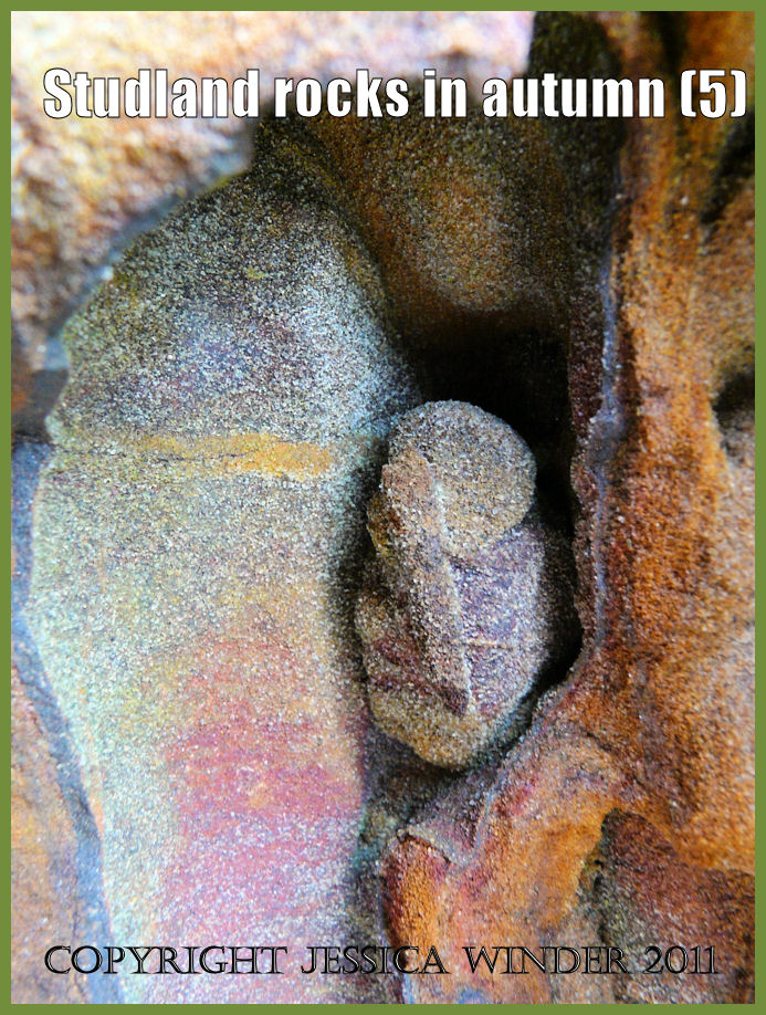 Coloured rocks picture: Detail of iron oxidation colours and patterns in an exposed vertical section of a 'pipe' in the sandstone rock strata at Studland Bay, Dorset, UK - part of the Jurassic Coast (P1170405aBlog5)