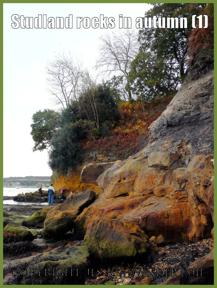 Rocks picture: Cliffs at Studland, Dorset, UK - part of the Jurassic Coast (P1170430aBlog1)