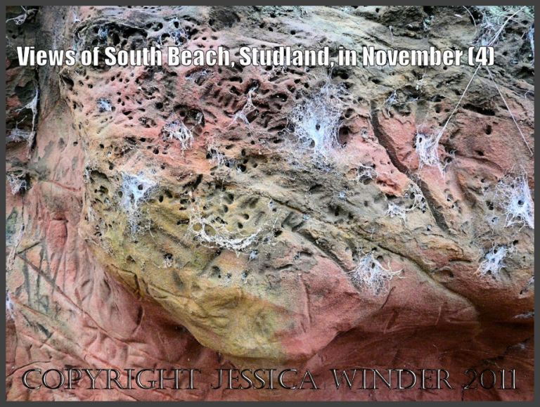 Rock picture: Detail of miner bee burrows and spider cobwebs on red and yellow ferruginous rock in the cliff face at South Beach, Studland, Dorset, UK - part of the Jurassic Coast (4)