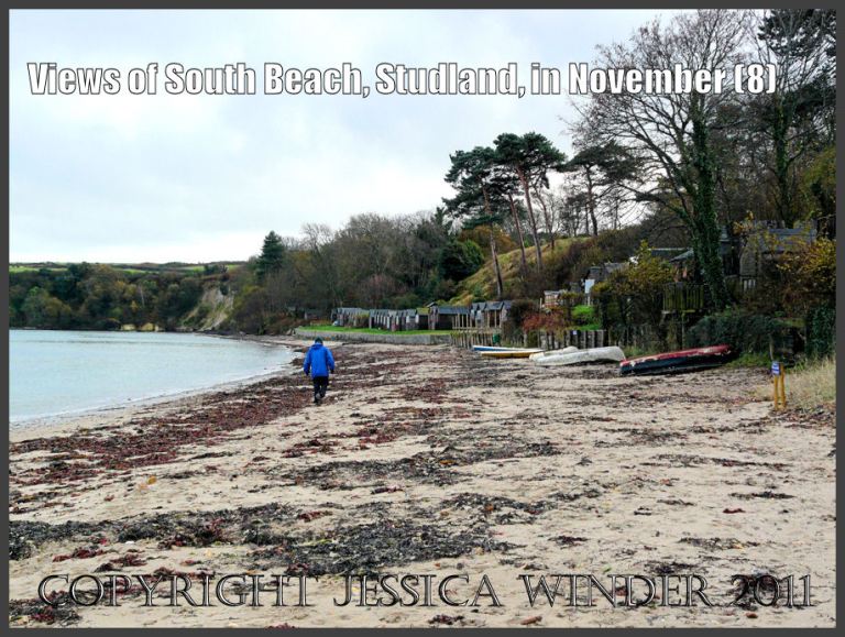 View of South Beach showing piles of red seaweed and flint pebbles on the strandline, with small boats on the sand and beach huts among the trees, Studland, Dorset, UK - part of the Jurassic Coast 27th November 2009 (8)