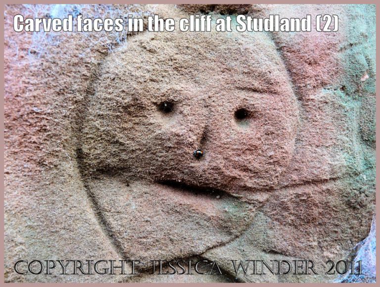 P1200868aBlog2 Face carved on the naturally coloured cliff strata at South Beach, Studland, Dorset, UK - part of the Jurassic Coast (2) Studland Bay rock photograph: Face carved on the naturally coloured cliff strata at South Beach, Studland, Dorset, UK - part of the Jurassic Coast (2)