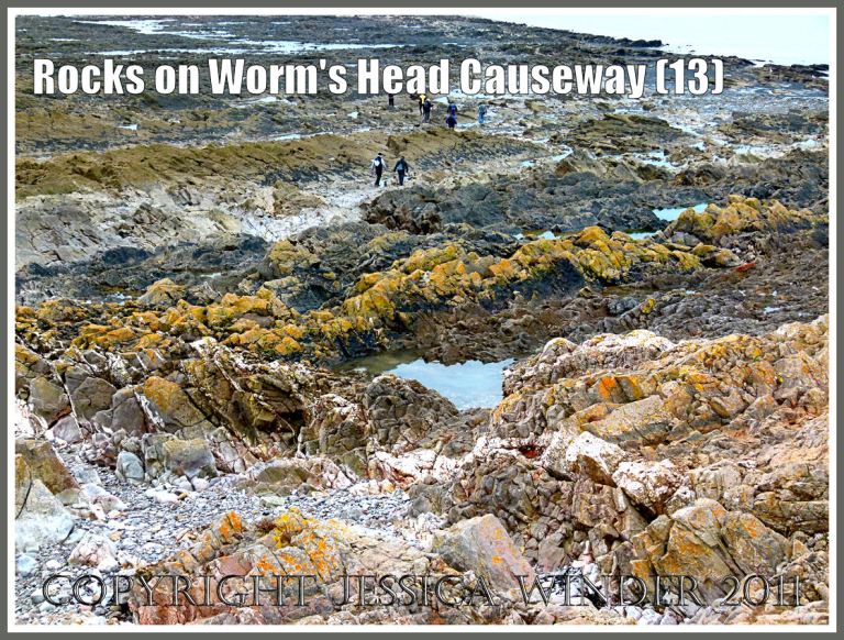 P1010010aBlog13 View across the Worm's Head Causeway in Gower, South Wales, UK showing the lines of sharp, jagged Carboniferous limestone rocks covered with coloured lichens in the foreground (13) Rocks on Worms Head Causeway: View across the Worm's Head Causeway in Gower, South Wales, UK showing the lines of sharp, jagged Carboniferous limestone rocks covered with coloured lichens in the foreground (13)