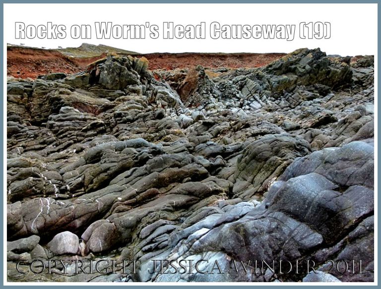 Worms Head Causeway rocks: Exposed inclined strata of Carboniferous limestone showing increased surface smoothness further from the shore at Worms Head Causeway, Rhossili, Gower, South Wales, UK (1)