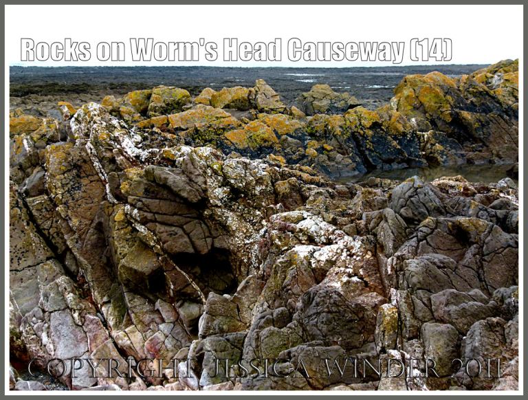P1010172aBlog14 Rocks in the intertidal zone close to shore on the Worm's Head Causeway in Gower, South Wales, UK showing Carboniferous limestone rocks covered with coloured lichens (14) Worms Head rocks: Rocks in the intertidal zone close to shore on the Worm's Head Causeway in Gower, South Wales, UK showing Carboniferous limestone rocks covered with coloured lichens (14)