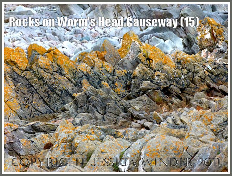 P1010183aBlog15 Jagged limestone rocks with yellow lichen on the upper shore, and smooth water-worn clean rocks behind them and lower down the shore , on the Worm's Head Causeway in Gower, South Wales, UK (15) Rocks on Worms Head Causeway: Jagged limestone rocks with yellow lichen on the upper shore, and smooth water-worn clean rocks behind them and lower down the shore , on the Worm's Head Causeway in Gower, South Wales, UK (15)