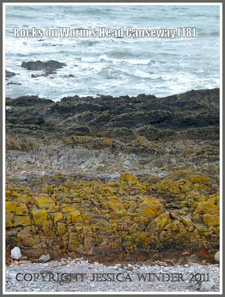 P1010203aBlog18 Bands of different coloured lichens on jagged rocks of the upper shore on Worms Head Causeway, Gower, South Wales, UK, demonstrating rocky shore zonation (18) Rocky shore zonation: Bands of different coloured lichens on jagged rocks of the upper shore on Worms Head Causeway, Gower, South Wales, UK, demonstrating rocky shore zonation (18)