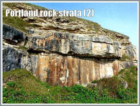 Jurassic Coast rocks: Rock strata with iron-stained deposits on the exposed vertical quarried faces on the Isle of Portland, Dorset, UK, part of the Jurassic Coast World Heritage Site (2)