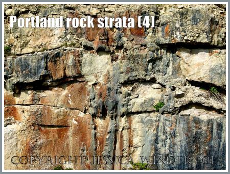 Portland rocks: Rock strata with iron-stained deposits on the exposed vertical quarried faces on the Isle of Portland, Dorset, UK, part of the Jurassic Coast World Heritage Site (4)