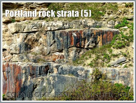 Jurassic Coast rocks: Rock strata with iron-stained deposits on the exposed vertical quarried faces on the Isle of Portland, Dorset, UK, part of the Jurassic Coast World Heritage Site (5)