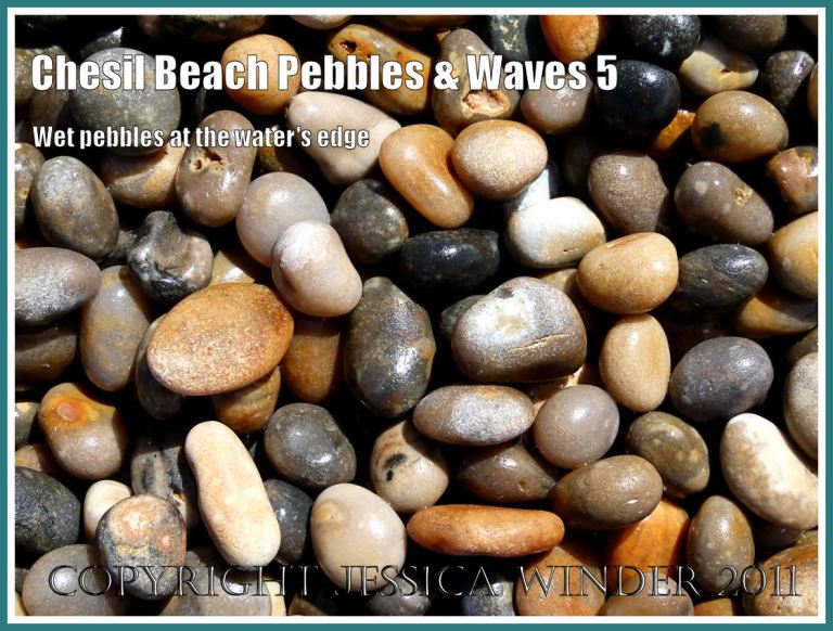 Jurassic Coast pebbles: Wet pebbles at the water's edge on Chesil Beach, Dorset, UK, on the Jurassic Coast (5)