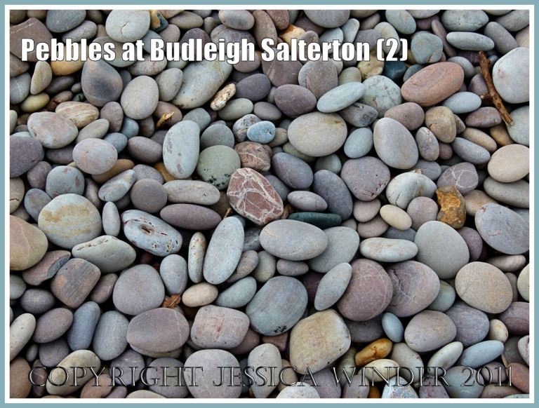 Pebbles at Budleigh Salterton: Dry pastel-coloured, matt textured, pebbles on the beach at Budleigh Salterton, Devon, UK, on the Jurassic Coast World Heritage Site (2)