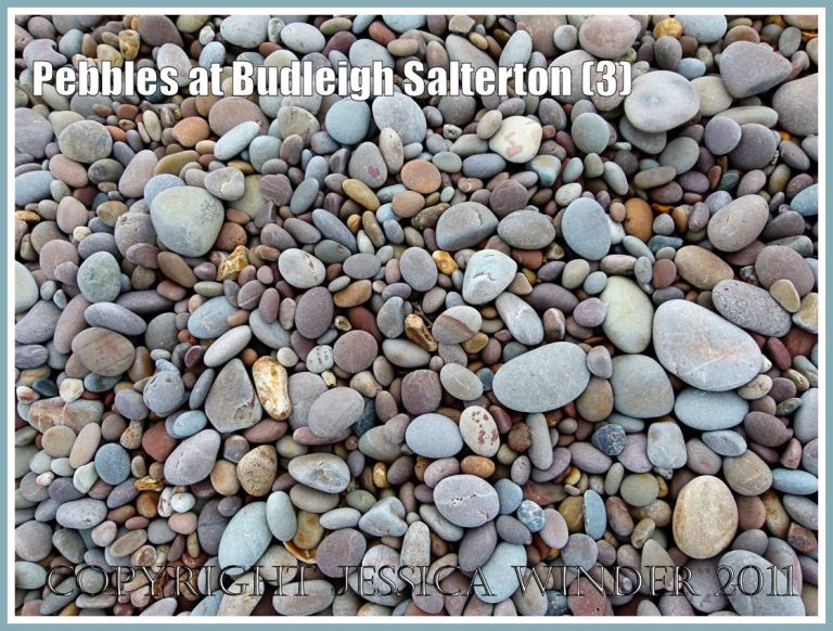 Devon pebbles: Dry pebbles of mostly Triassic origin on the beach at Budleigh Salterton, Devon, UK, on the Jurassic Coast World Heritage Site (3)