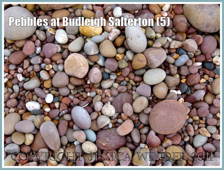 Pebble beach: Colourful pebbles of various sizes drying on the beach at Budleigh Salterton, Devon, UK, on the Jurassic Coast World Heritage Site (5)