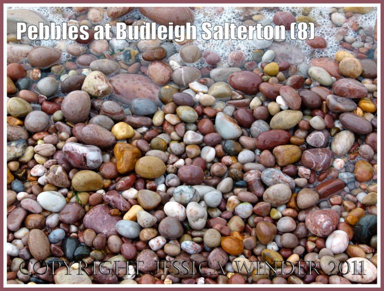 Coloured pebbles at the water's edge: Pebbles on the beach at Budleigh Salterton, Devon, UK, on the Jurassic Coast World Heritage Site (8)